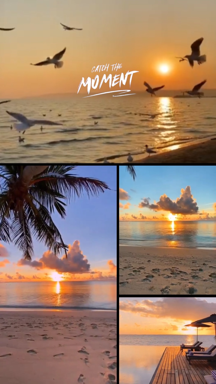 Rekap Vlog Grid 1208