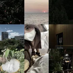 9 ช่อง 🪵🏝️