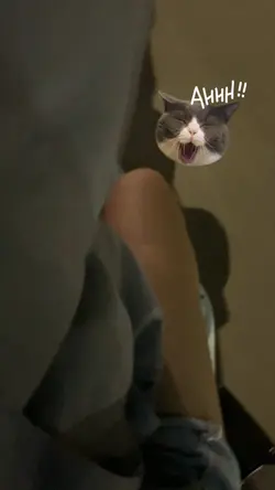 1 video 1ảnh