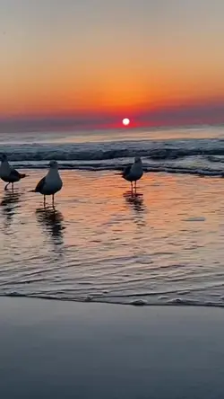 slowmo smooth