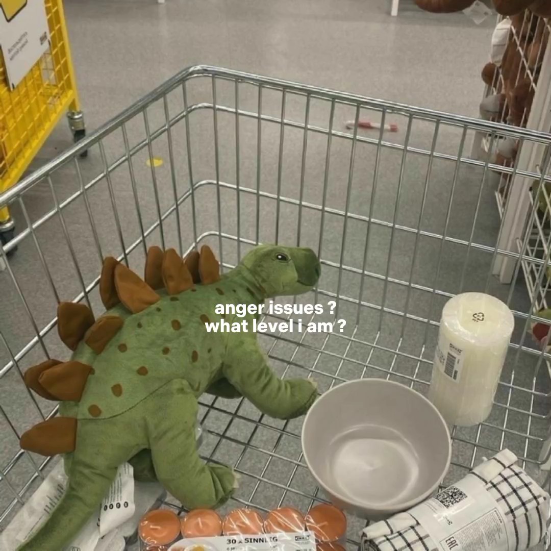 Problemas de ira 