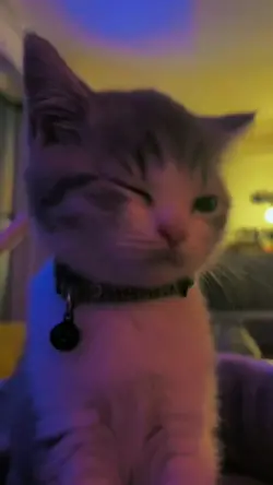 Slowmo:3