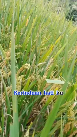 kerinduan hati ku