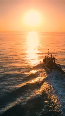 status Sunset