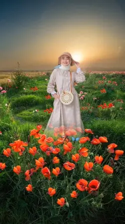 Taman bunga poppy