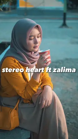 stereoheart ft zalim