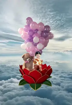 fly with teddy