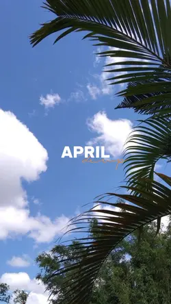april dump