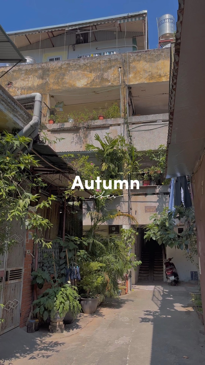 Autumn vibes
