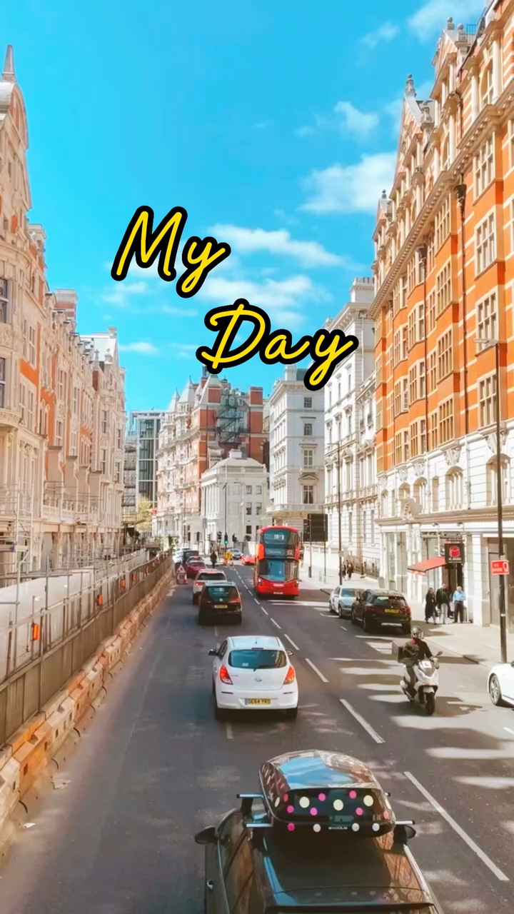 MEU DIA