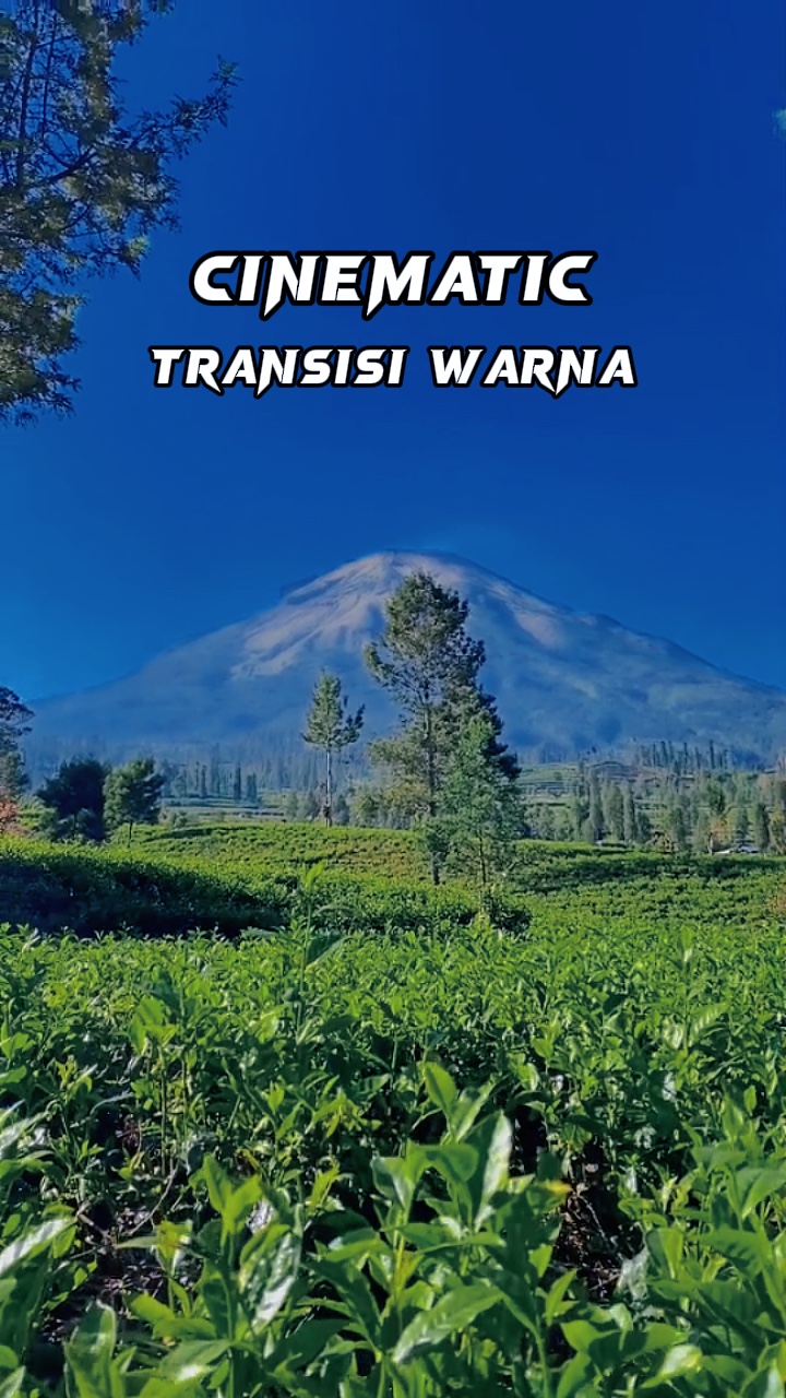 Video 1 KINEMATIK