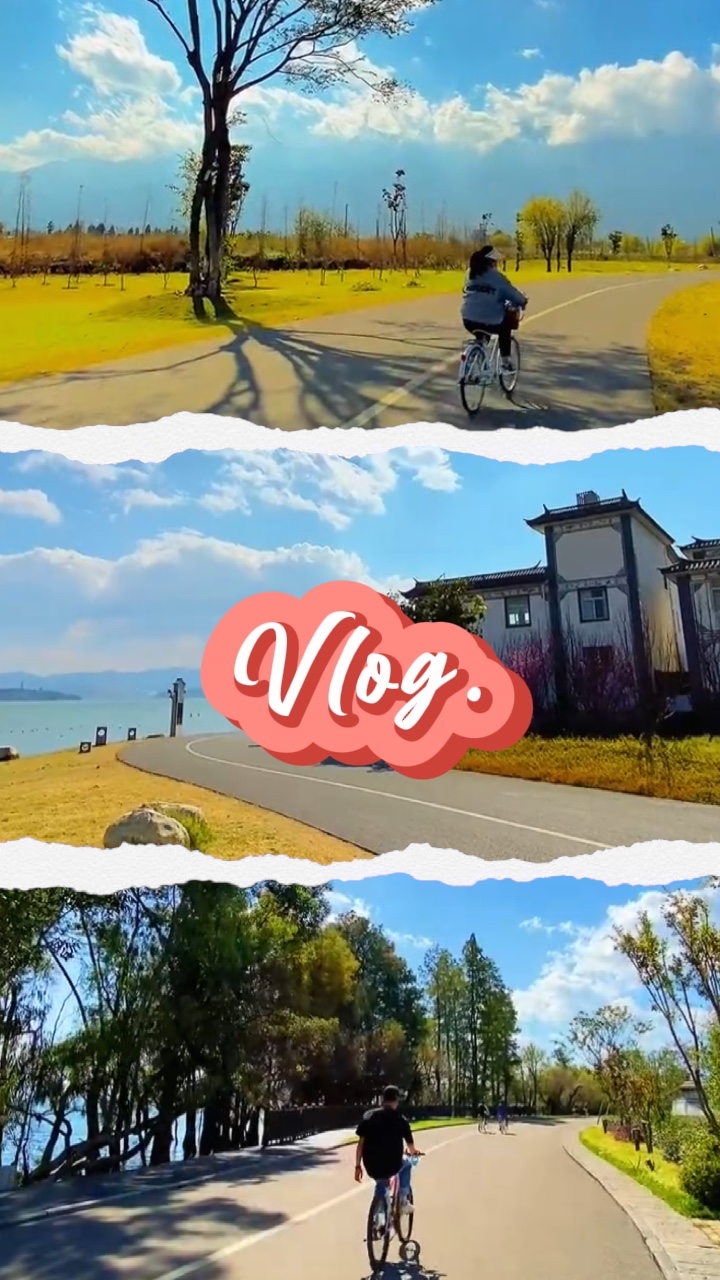 Mini Vlog Grid