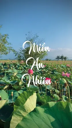 Miền An Nhiên 🪷