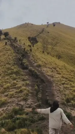1 video aja