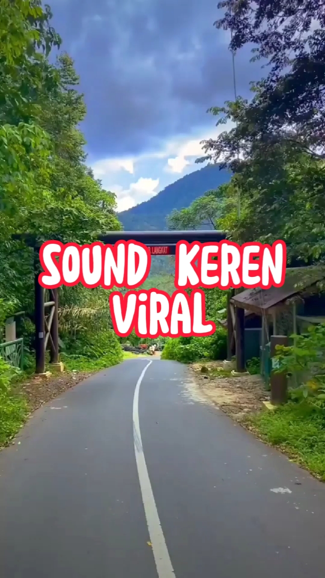 tiktok viral 