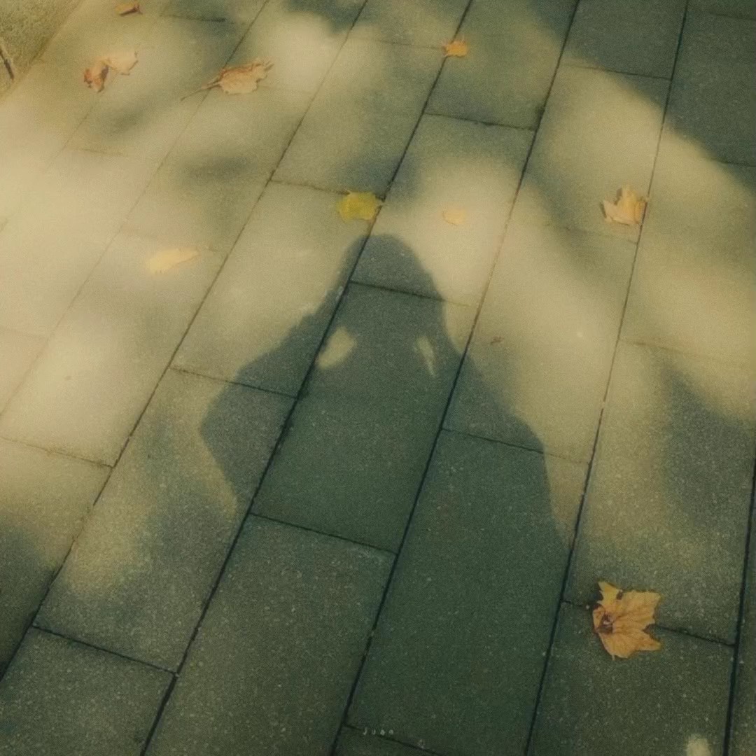 dream soft filter