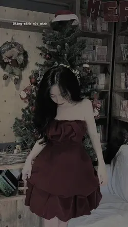 Mẫu Noel