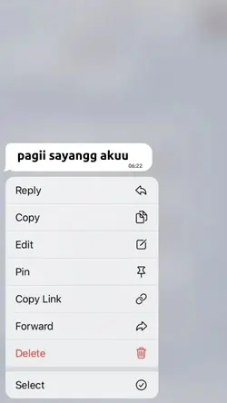 text bisa diganti