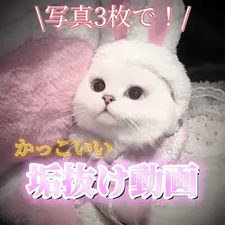 垢抜け動画💟