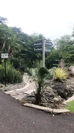 6 video + 8 foto