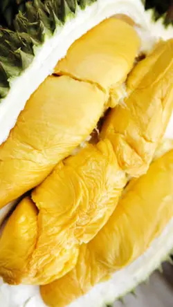 Creamy Durian