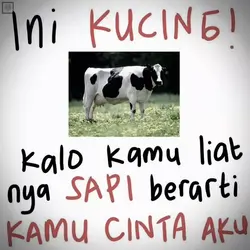 kamu cinta aku