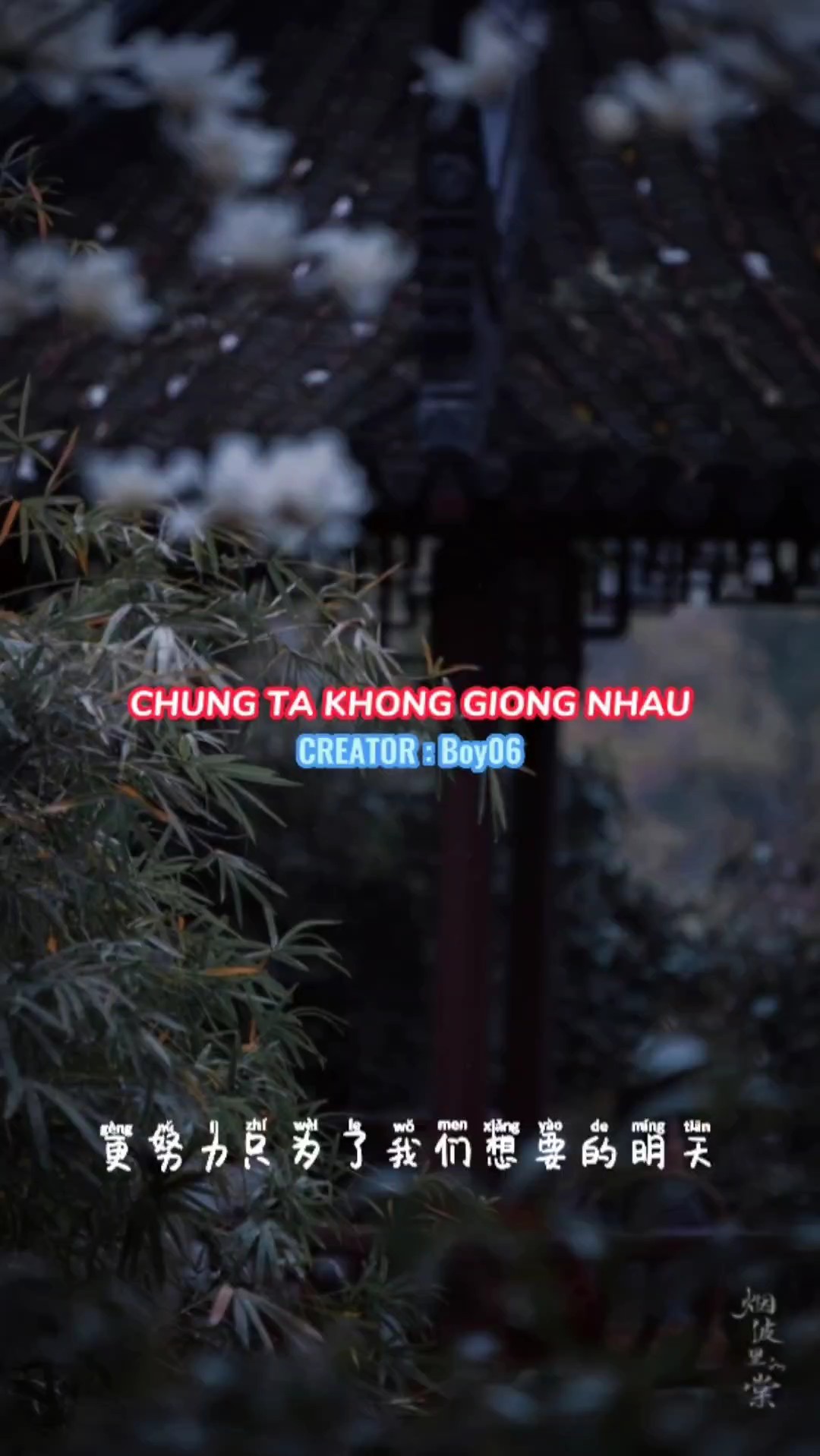 Mu 4 ảnh xn