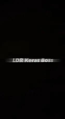 LDR keras bos