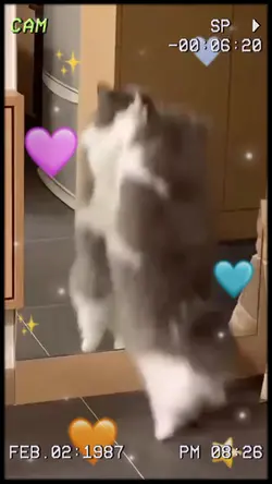 ><