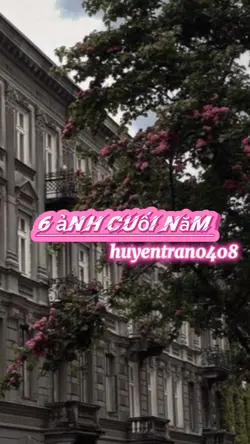 6 ảnh cuối năm