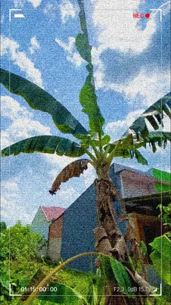 Pagi slomo