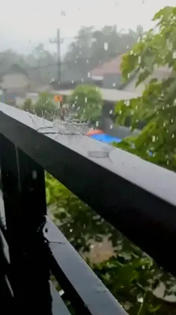 Rain vibes