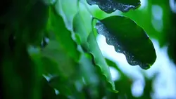 Slowmo down aestetic