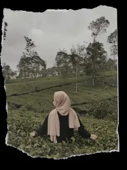 frame robek