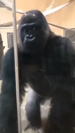 Ngobrol sama Bujur