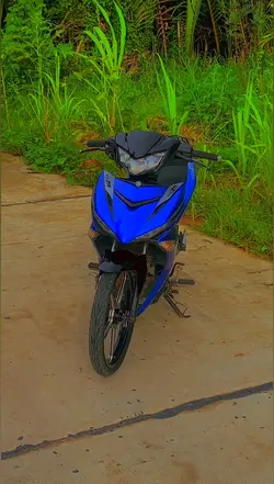 Video+ màu 