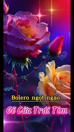 Gõ cửa trái tim