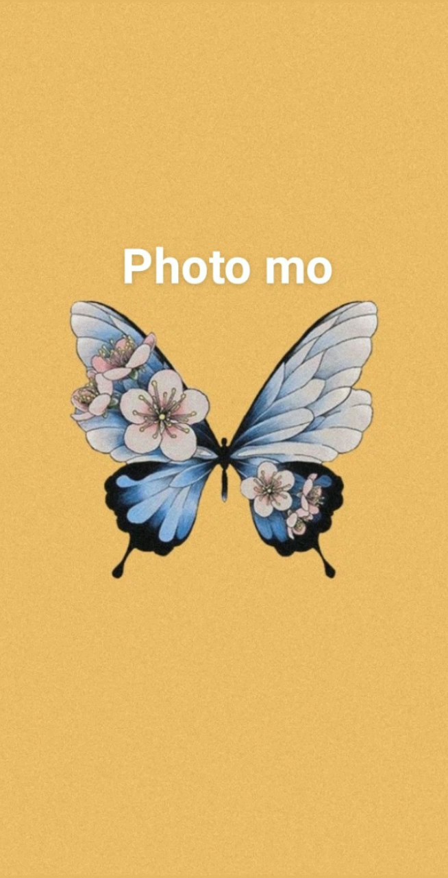 6 fotos