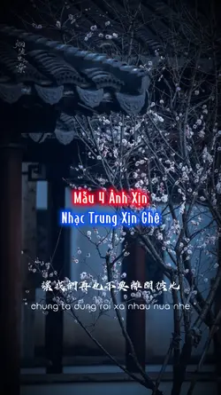 MẪU 4 ẢNH XỊN