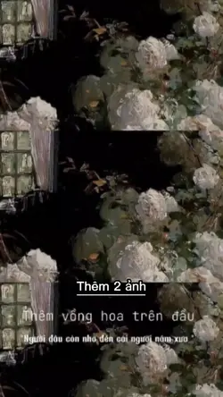 Thêm 2 ảnh