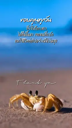 ขอบคุณทุกวัน