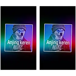 ANJING KEREN BANGET