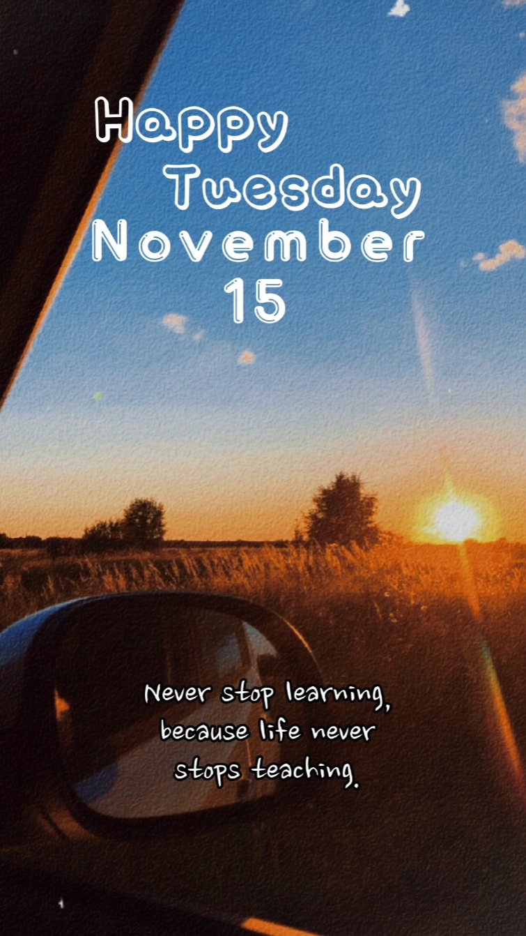 NOVEMBER 15,2022
