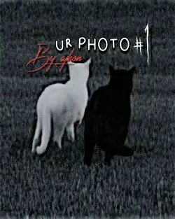 photo repeated 
