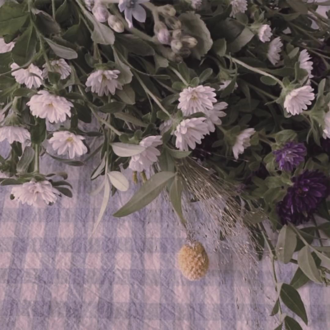 38foto 1:1