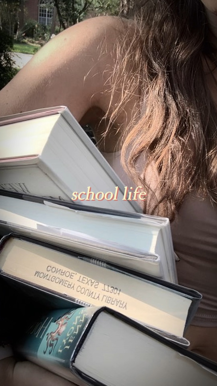 school life 