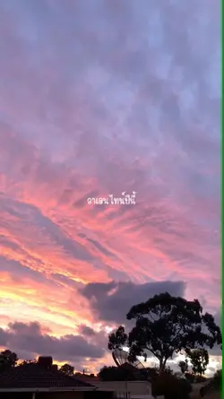 วาเลนไทน์ปีนี้