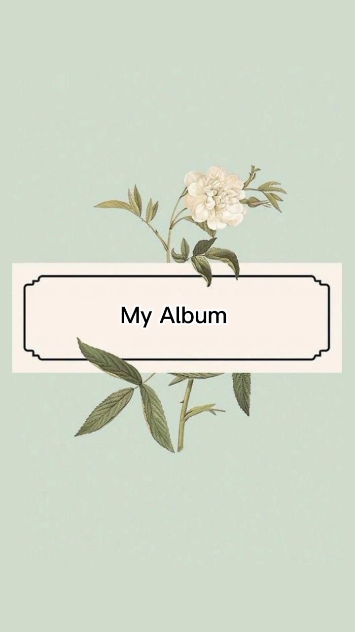 Mi álbum
