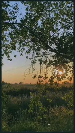Nhạc không lời🍃