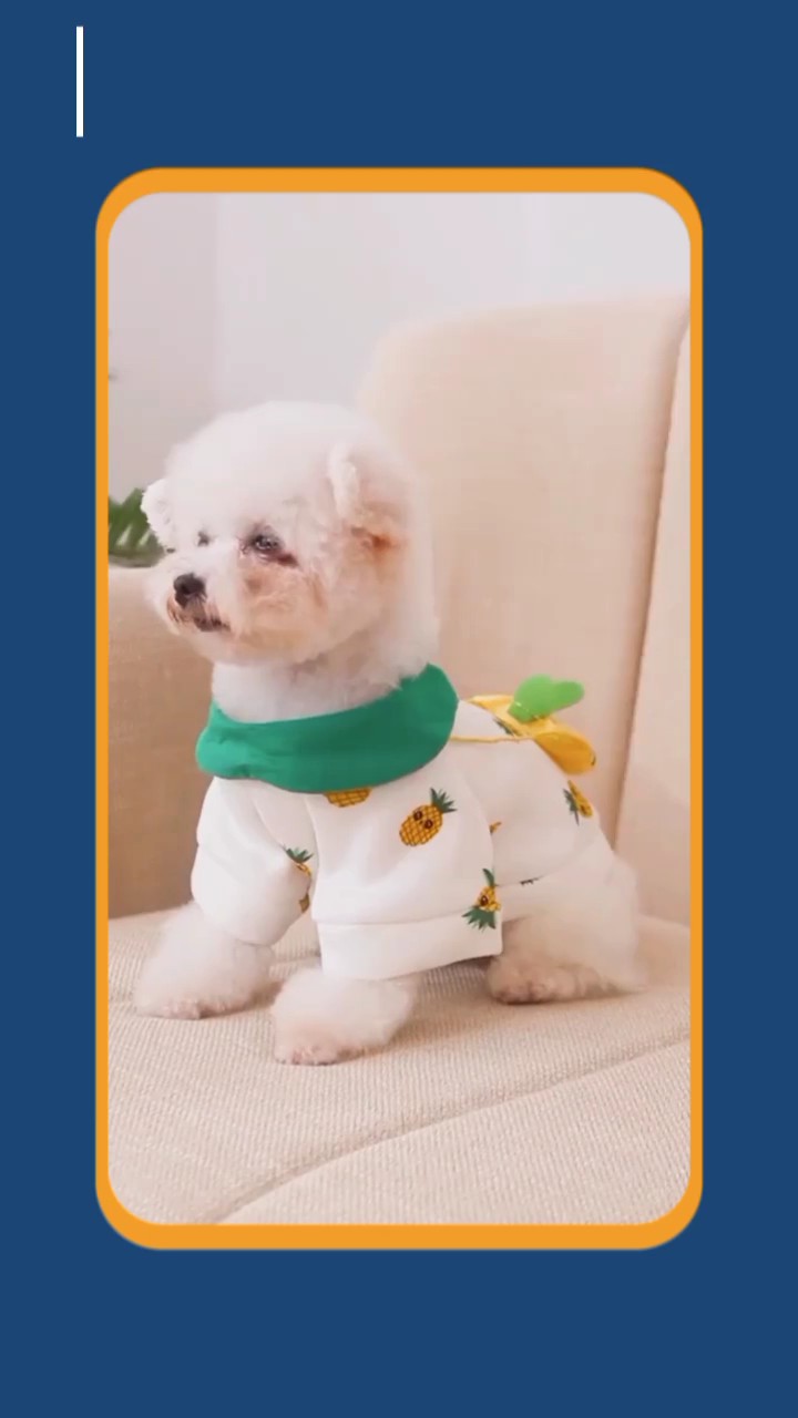 Pet Clothing